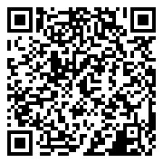 精灵盛典:黎明-极速版本